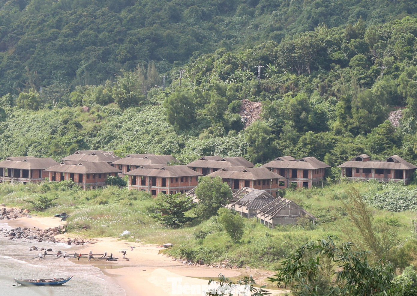 Chủ tịch Đà Nẵng lên tiếng về sai phạm ở bán đảo Sơn Trà ảnh 1