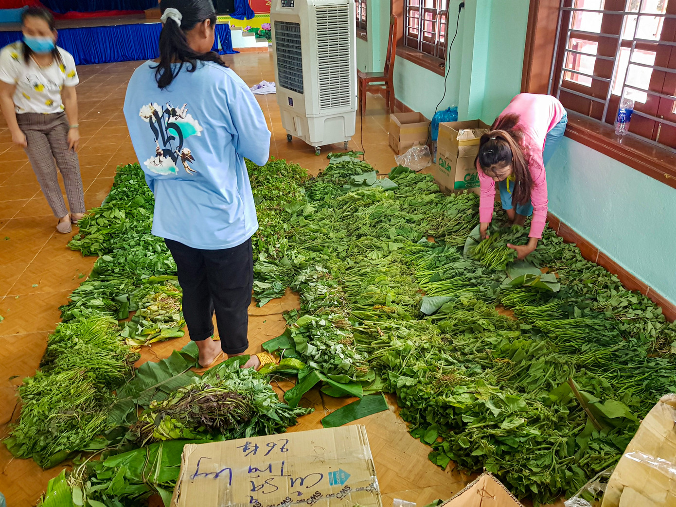 Xúc động cảnh dân huyện nghèo trèo đèo, lội suối hái rau quả tặng miền xuôi chống COVID-19 ảnh 7