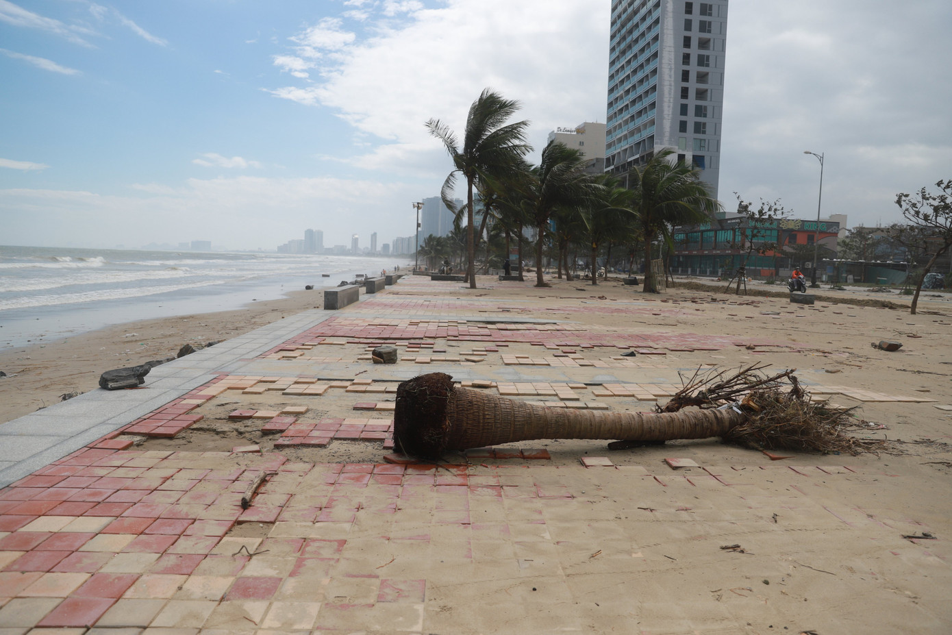 Bờ sông, bãi biển Đà Nẵng tan hoang sau bão số 9 ảnh 6
