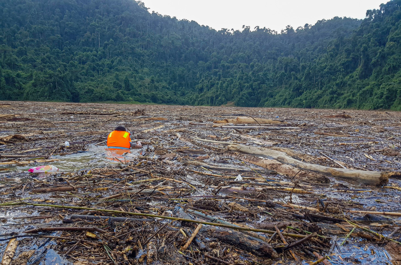 Tìm thi thể nạn nhân vụ sạt lở giữa lòng hồ thuỷ điện dày đặc cây rừng ảnh 4