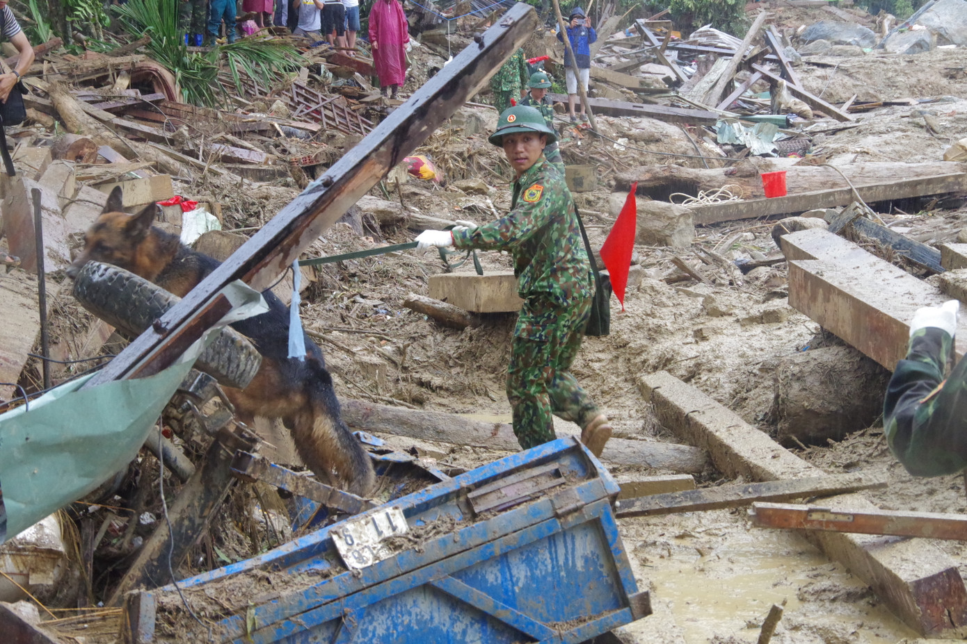 Chó nghiệp vụ xác định nhiều vị trí nghi ngờ có thi thể mất tích ở Trà Leng ảnh 3