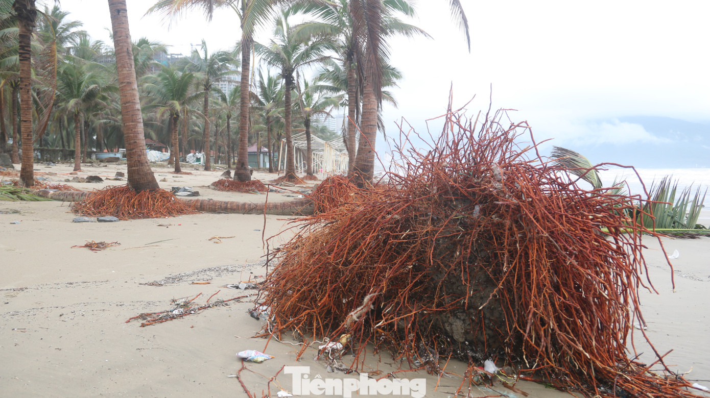 Bãi biển 'đẹp nhất hành tinh' tan hoang sau bão số 13 ảnh 14