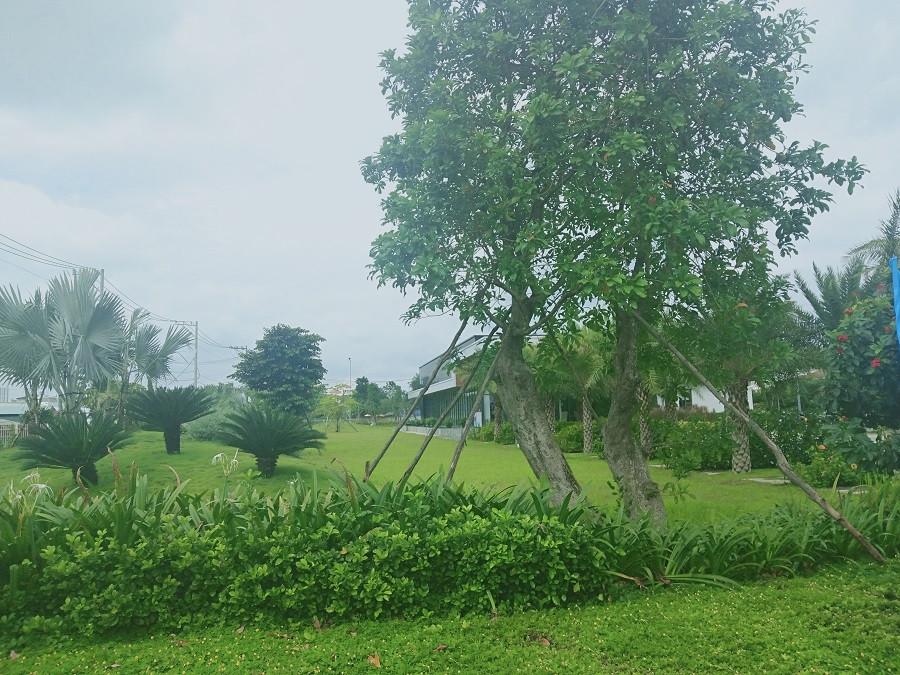 TP.HCM: Bất lực cưỡng chế dự án nhà mẫu không phép? ảnh 2