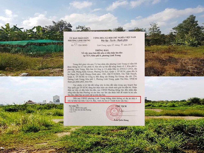 'Vẽ' dự án để lừa đảo, giám đốc Công ty Angel Lina bị bắt ảnh 3