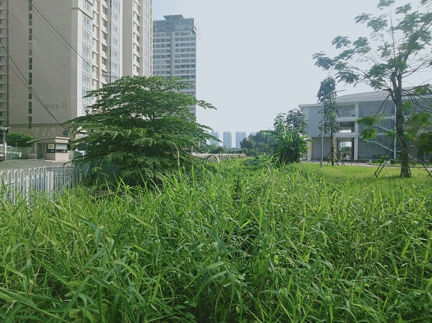  Lấp kênh rạch làm bãi giữ xe, chiếm vỉa hè, bờ sông làm của riêng? ảnh 6