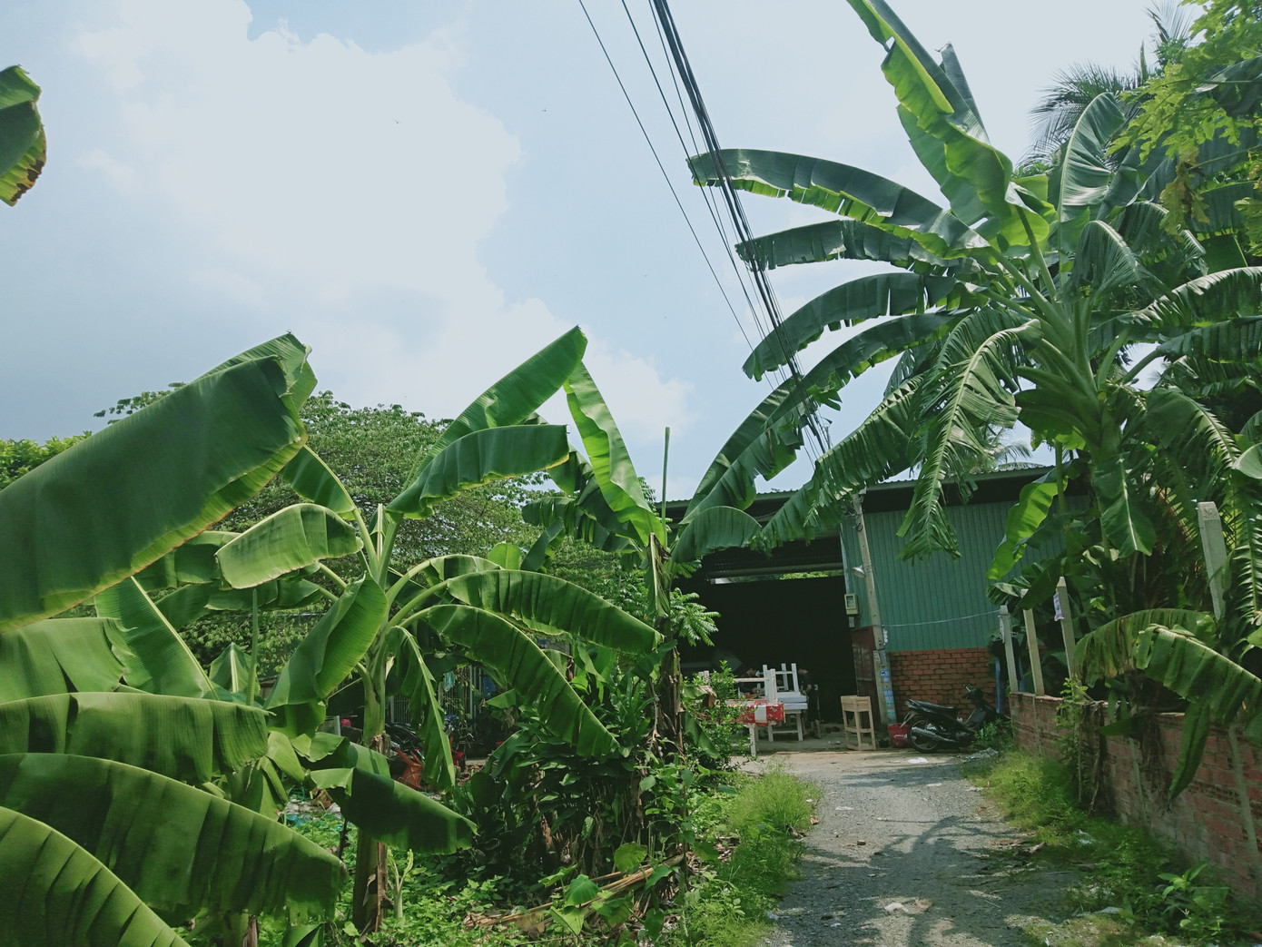 Công trình không phép của Phó Chủ tịch HĐND quận Thủ Đức và người thân ảnh 5