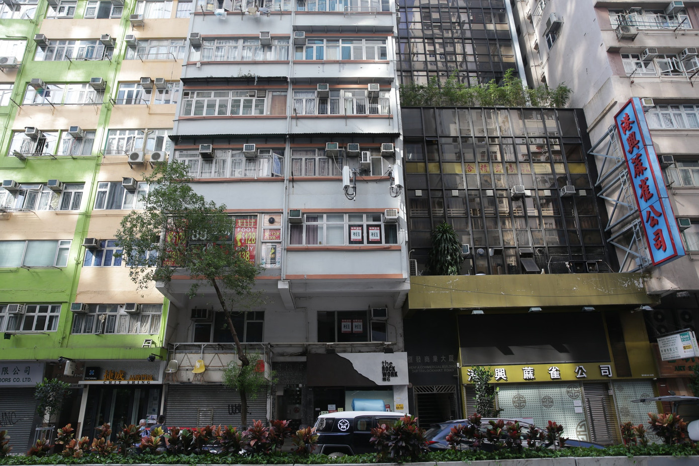 Nam diễn viên Hong Kong tự tử ở tuổi 28 ảnh 1