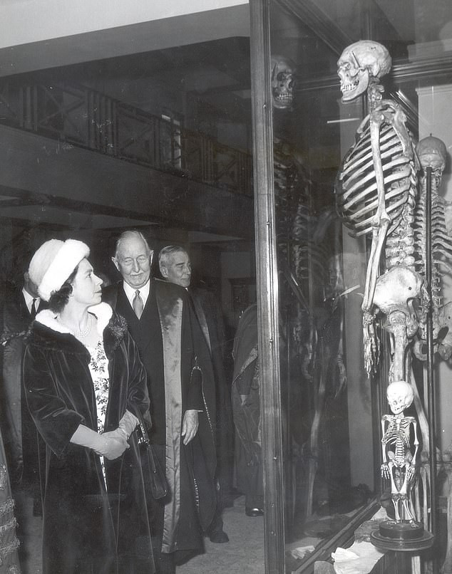 Bi kịch của ‘Người khổng lồ Ireland’: Chết hơn 200 năm không được chôn cất ảnh 1