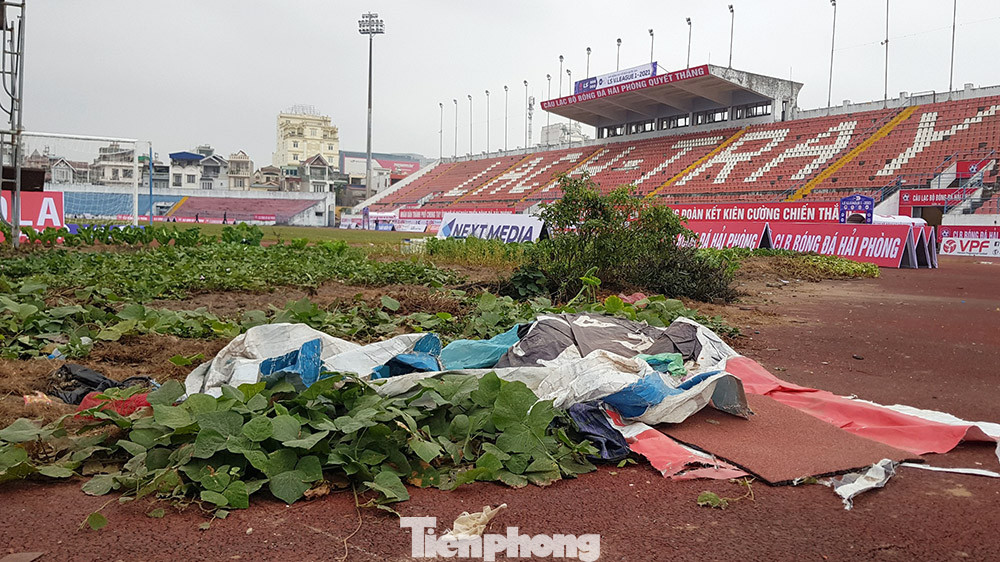 Công an Hải Phòng cảnh báo sân Lạch Tray không đủ tiêu chuẩn thi đấu ảnh 9