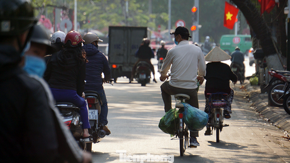 Tuổi trẻ Hải Phòng giải cứu rau màu cho nông dân Tiên Lãng ảnh 8