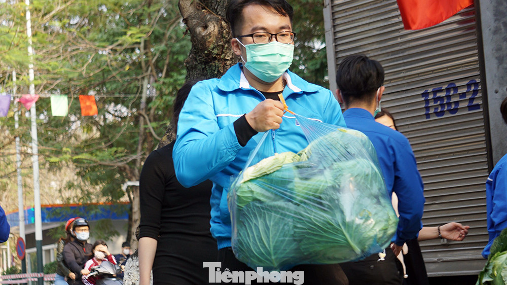 Tuổi trẻ Hải Phòng giải cứu rau màu cho nông dân Tiên Lãng ảnh 3