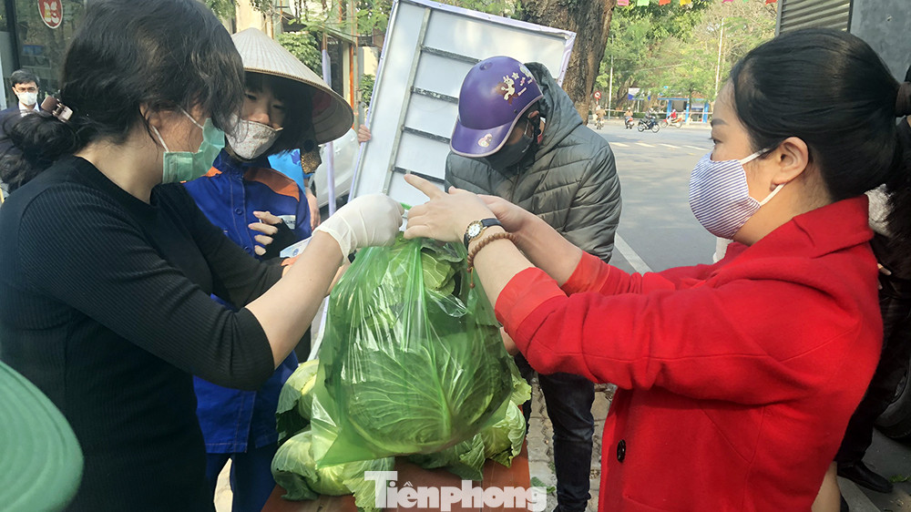 Tuổi trẻ Hải Phòng giải cứu rau màu cho nông dân Tiên Lãng ảnh 6