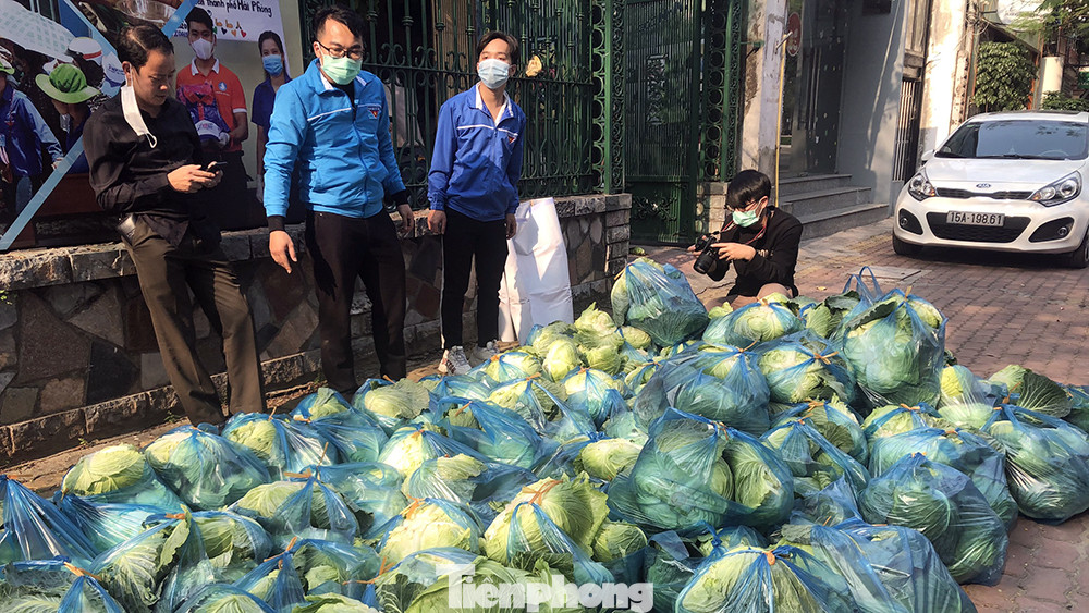 Tuổi trẻ Hải Phòng giải cứu rau màu cho nông dân Tiên Lãng ảnh 4
