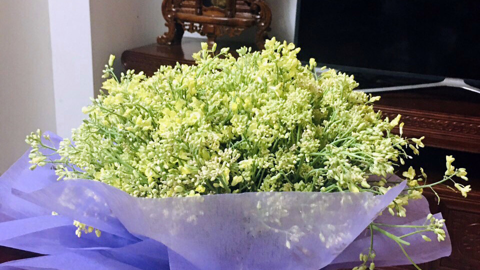 Xót xa cảnh súp lơ ở Hải Dương nở hoa vàng cả cánh đồng ảnh 4