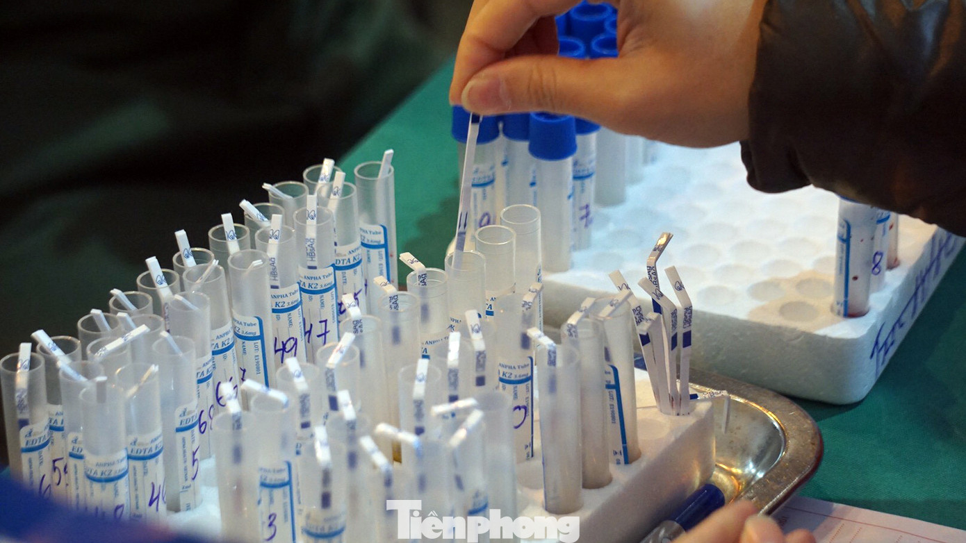 Đông đảo bạn trẻ tham gia hiến máu cứu người tại Đại học Hải Phòng ảnh 7