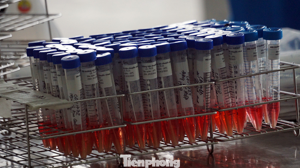 Hải Dương xét nghiệm cho hàng nghìn sinh viên chuẩn bị trở lại trường học ảnh 8