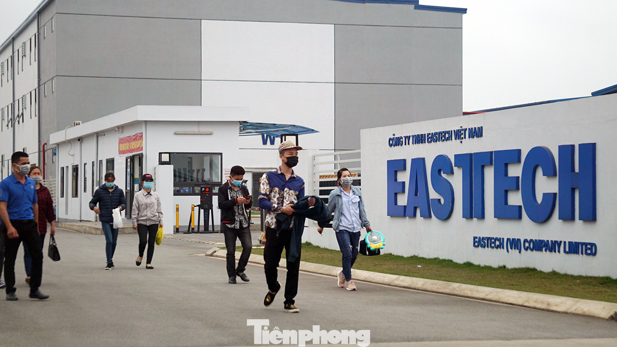 Công ty cho công nhân 'làm chui' mùa dịch, có lao động dùng hộ chiếu 'đường lưỡi bò' ảnh 1