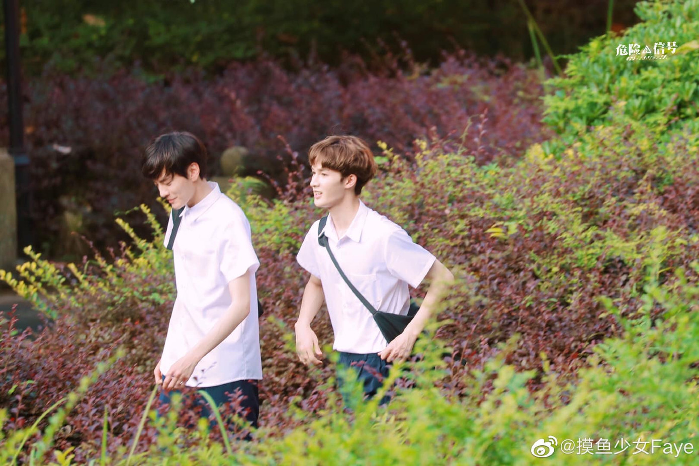 "Dã Thú Cô Độc" lộ ảnh hậu trường nhưng phản ứng của "hội mê trai đẹp" mới đáng chú ý ảnh 3