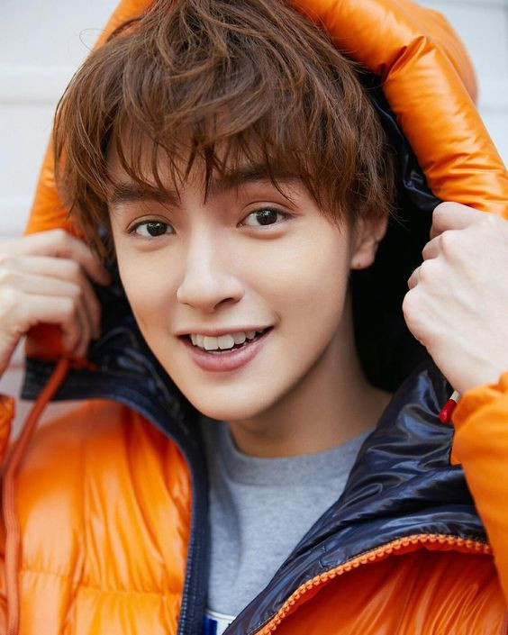 “Băng thần” Quan Hồng (Thiếu Nữ Mang Khôi Giáp) học bá soái ca không kém Trương Tân Thành ảnh 12