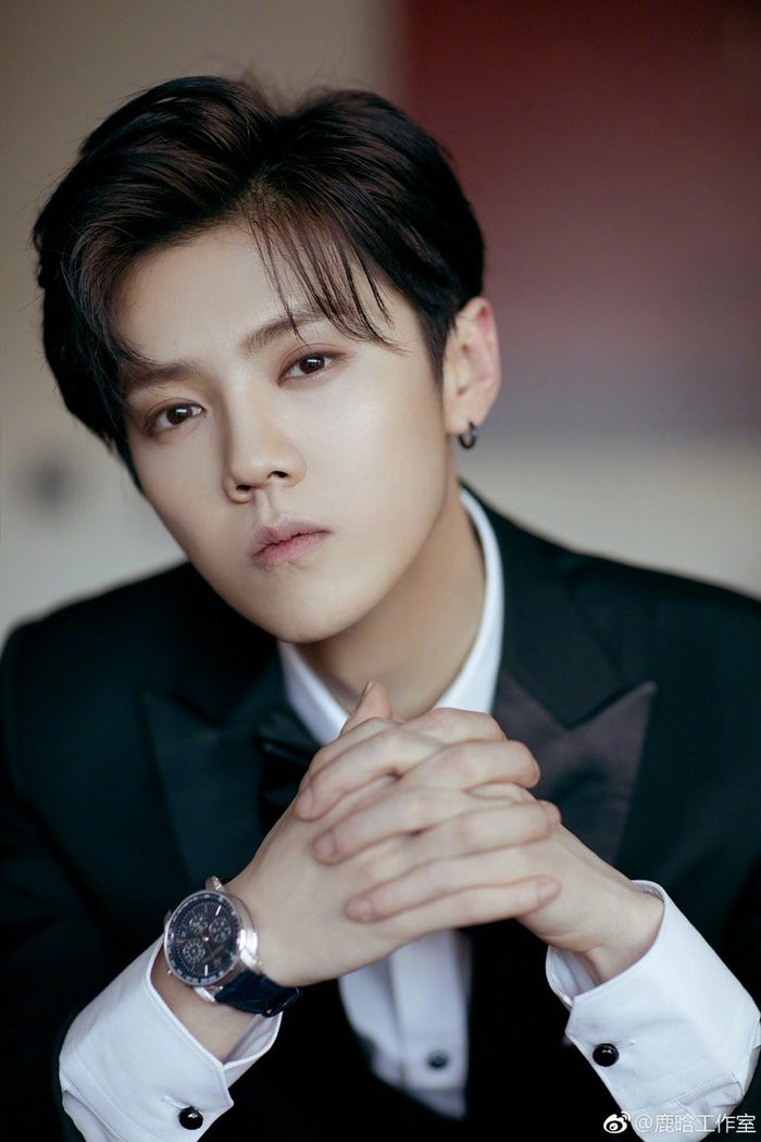 Gỡ bỏ định kiến "idol đóng phim", Lộc Hàm ngày càng khẳng định năng lực diễn xuất ảnh 1