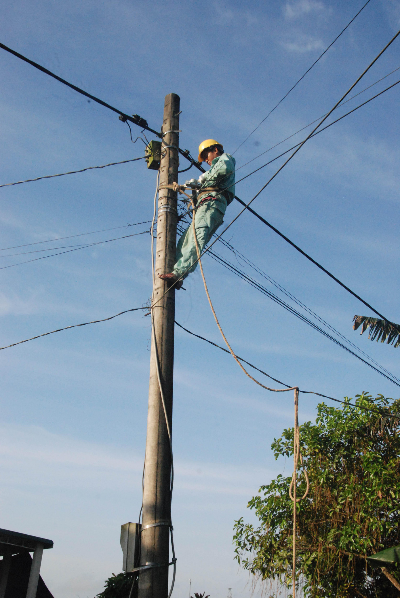 Hỗ trợ 50 tỷ cho thanh niên Quảng Trị khởi nghiệp ảnh 6