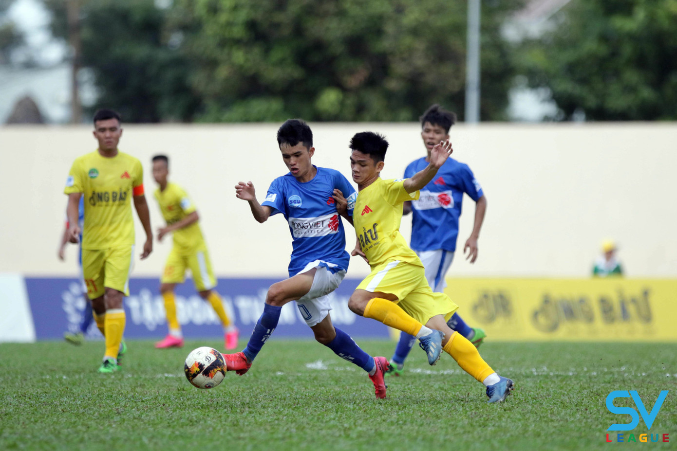 Sân cỏ SV-League 2020 “xanh” trở lại vào cuối tuần này ảnh 1