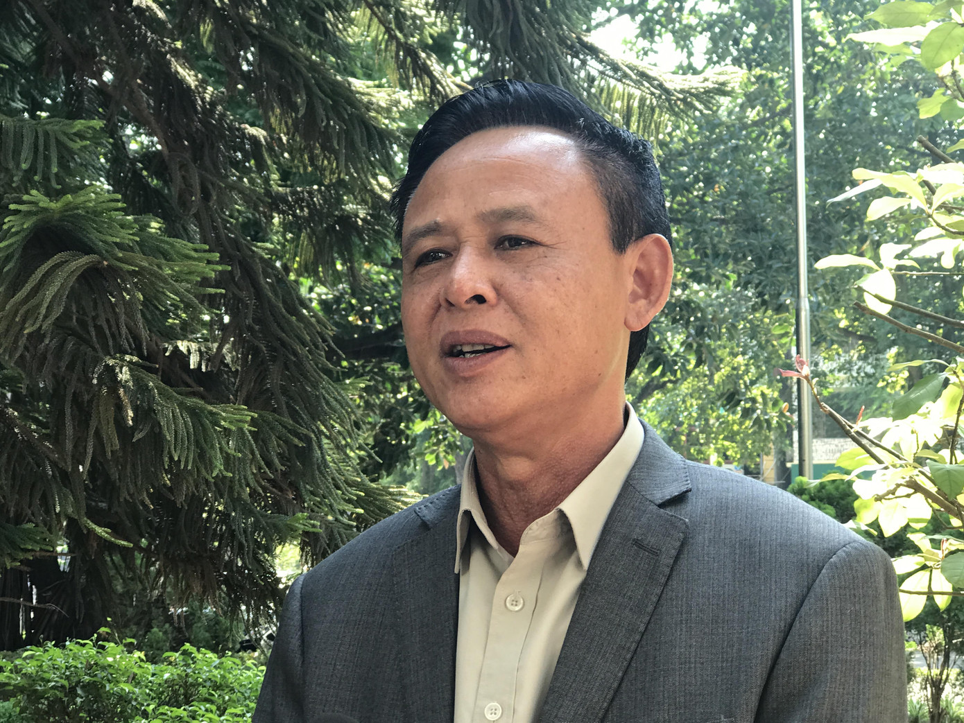 Xuất khẩu gỗ và lâm sản năm 2019 đạt trên 11 tỷ USD ảnh 1