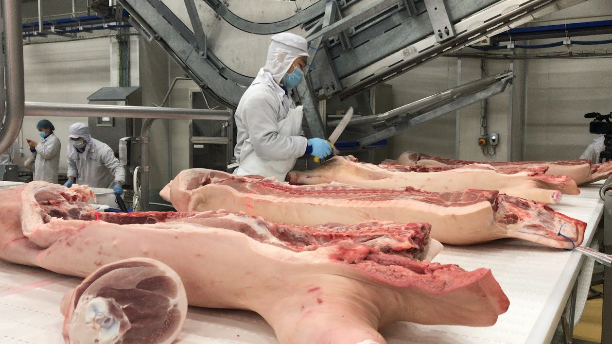 Bộ Nông nghiệp báo cáo khẩn Thủ tướng tình hình thịt lợn ảnh 1