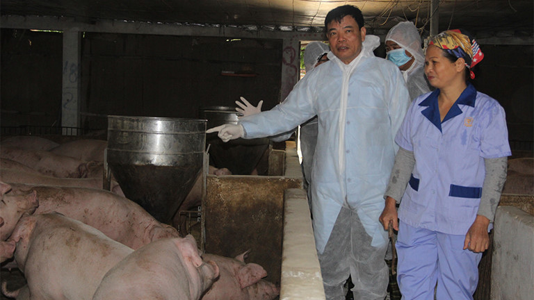 Nhiều tín hiệu tích cực về nguồn cung thịt lợn dịp Tết ảnh 1