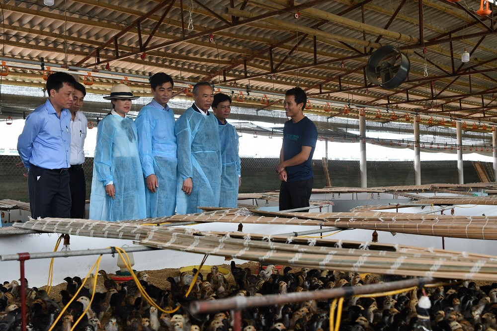 Doanh nghiệp là 'hạt nhân' trong quá trình tái đàn ảnh 1