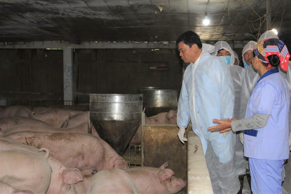 Bộ trưởng NN&PTNT: Găm hàng, thổi giá lợn coi chừng 'gậy ông đập lưng ông' ảnh 1
