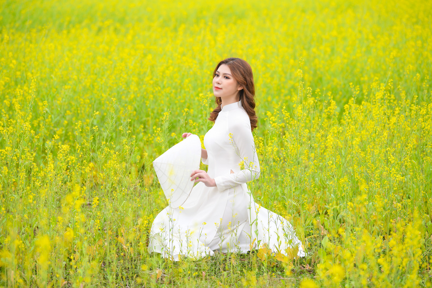 Nữ sinh Kinh Công đẹp dịu dàng giữa cánh đồng hoa cải vàng rực rỡ ảnh 10
