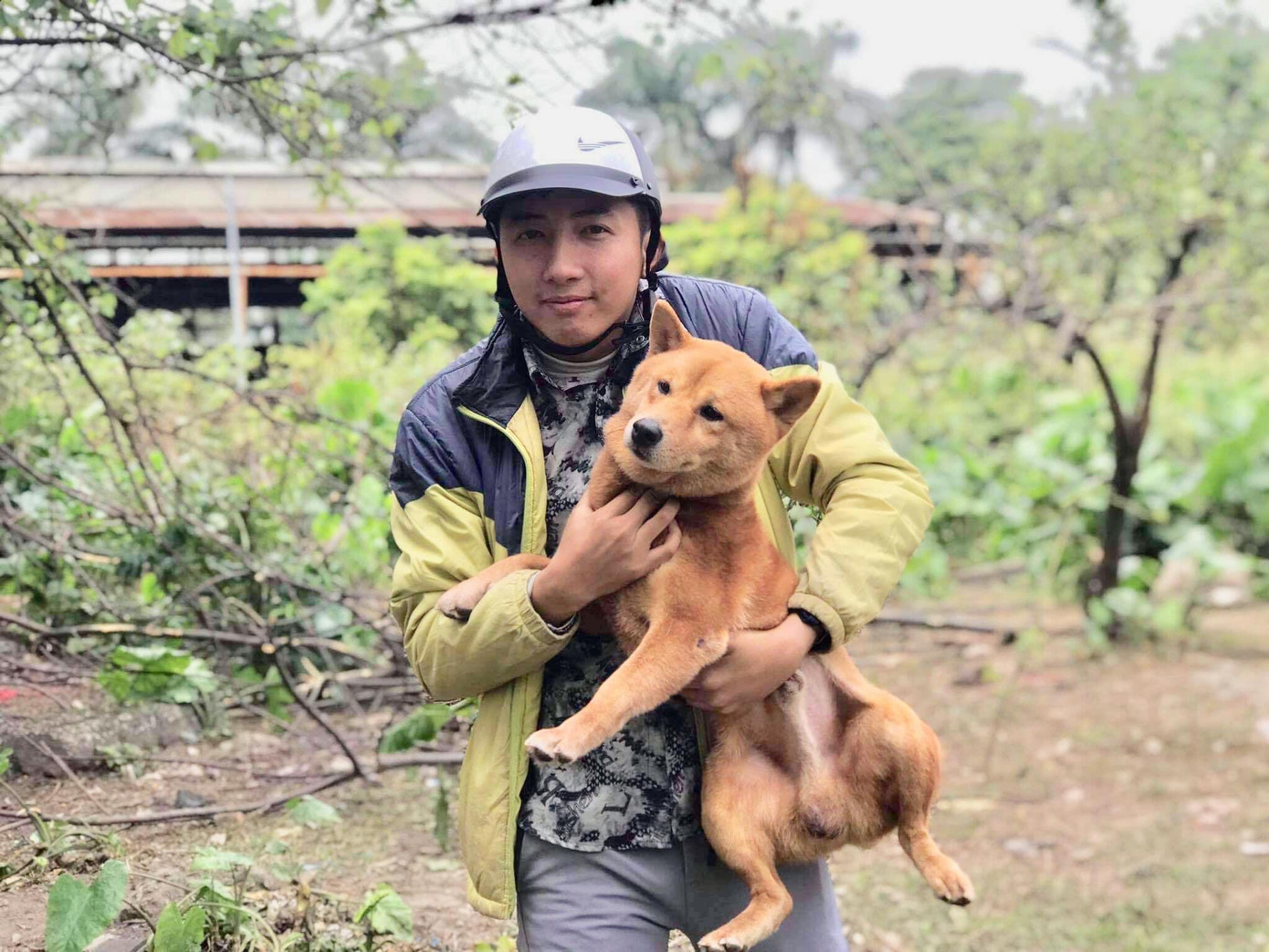 Chàng trai chăn gà được mời diễn trong phim điện ảnh Cậu Vàng ảnh 8