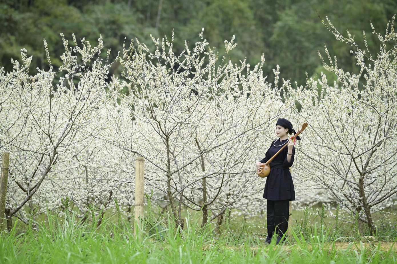 Đón Tết Tân Sửu cùng cô gái Nùng Phàn Slình vùng núi Đông Bắc là cựu sinh viên đại học Ngoại thương ảnh 3