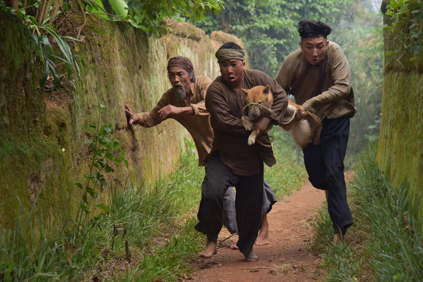 Chàng trai chăn gà được mời diễn trong phim điện ảnh Cậu Vàng ảnh 9