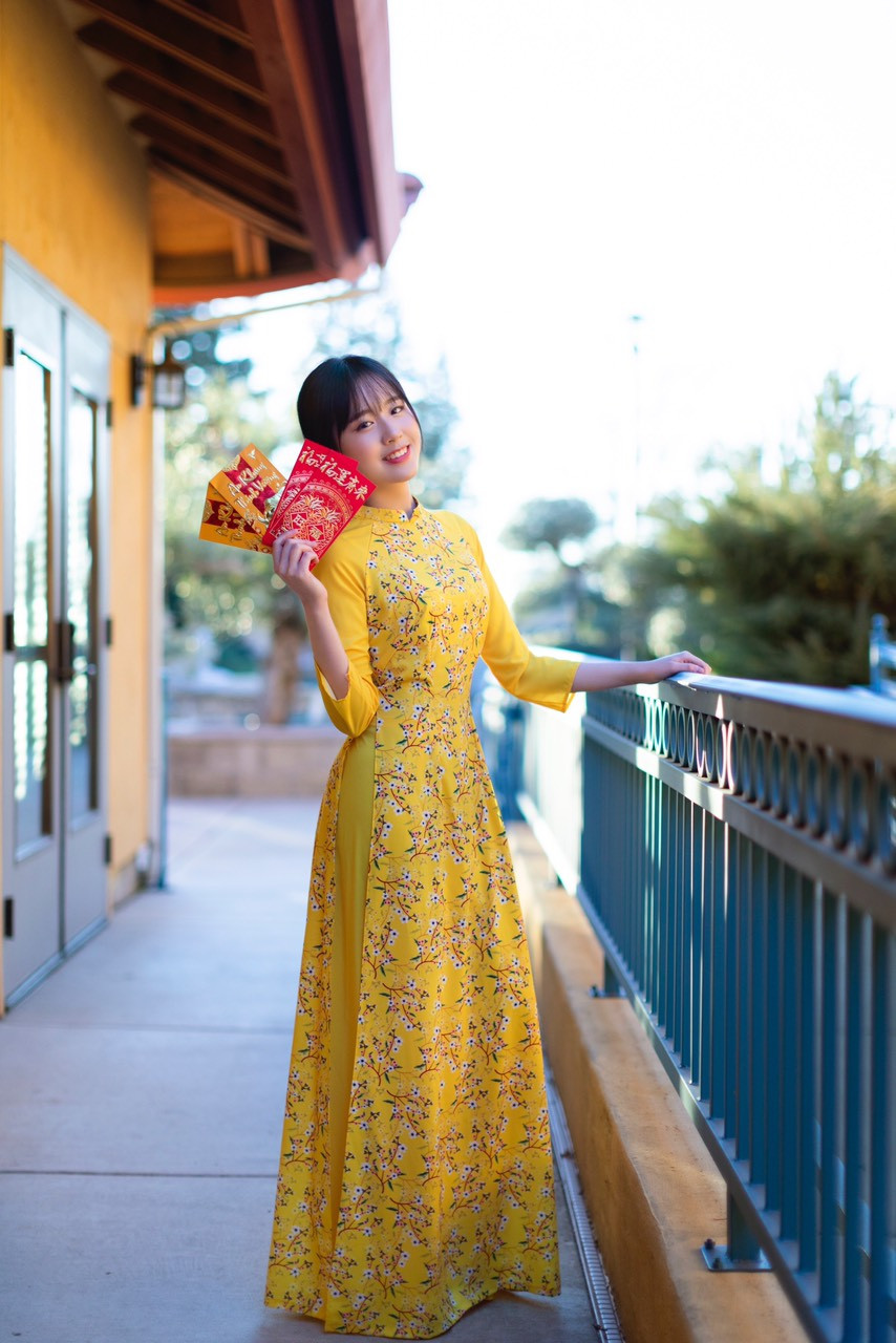 Rực rỡ sắc vàng với bộ ảnh áo dài Việt Nam đón Tết của du học sinh tại Mỹ ảnh 7