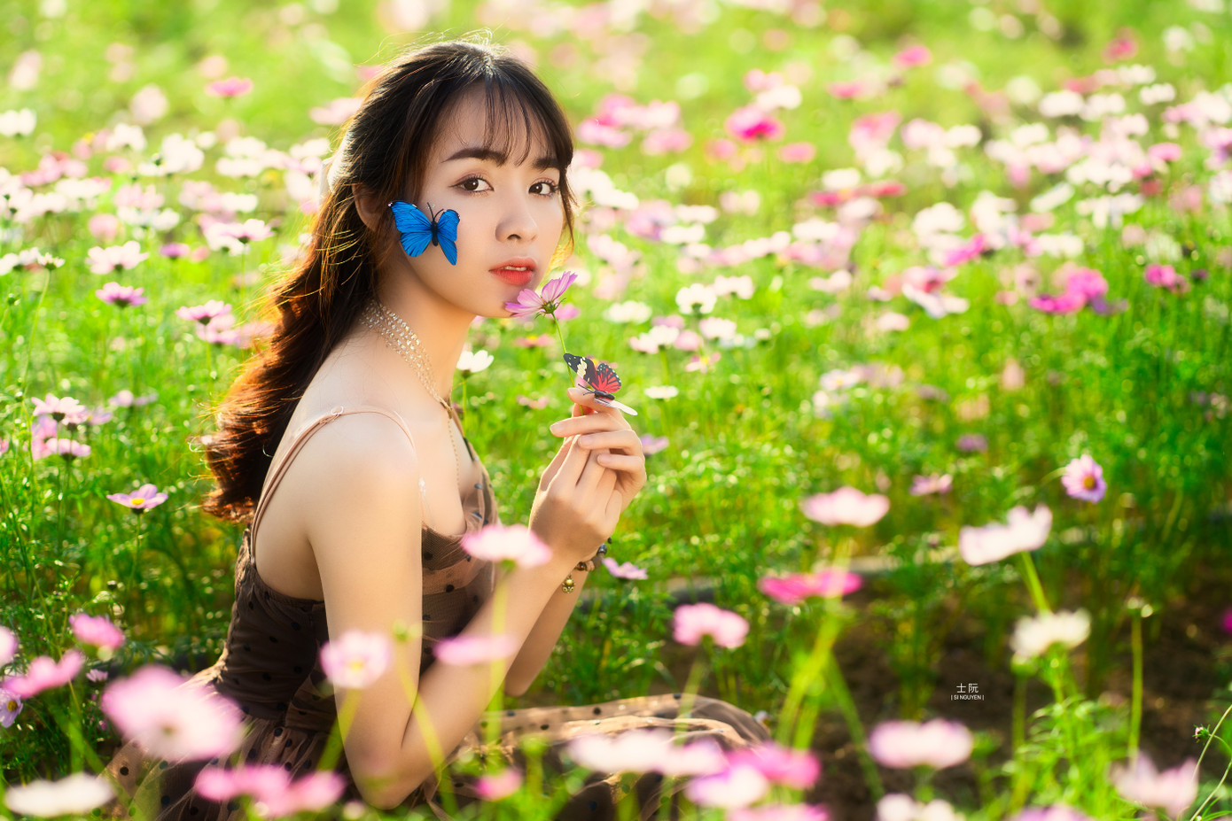 Nữ sinh Bách khoa hóa công chúa mơ màng giữa rừng hoa ảnh 12