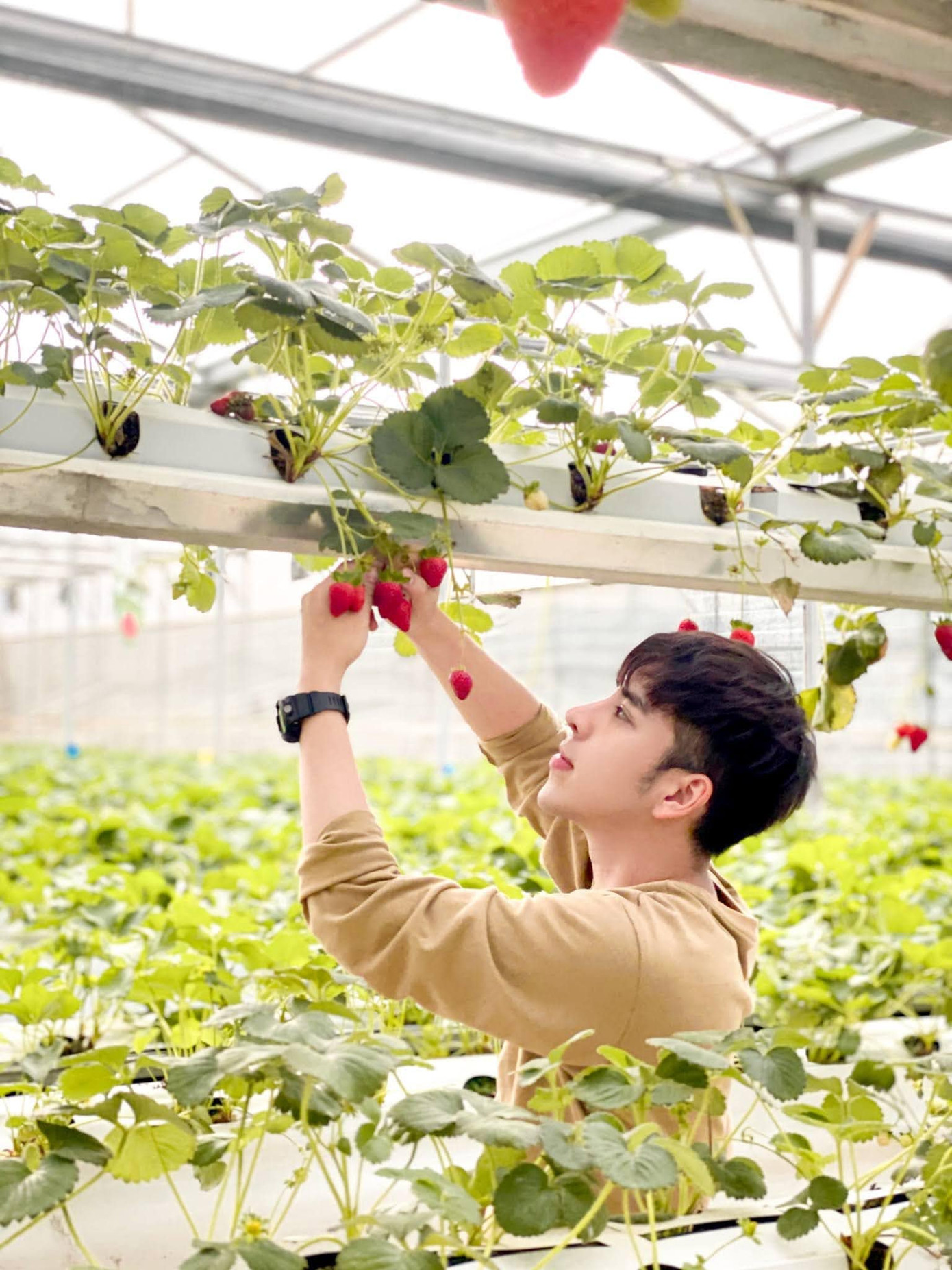 Ước mơ của mình là giúp chính bản thân mình phát triển hơn ảnh 3