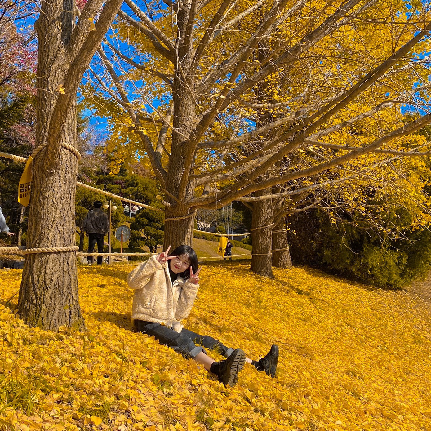 Chủ nhân series “Cửa hàng tiện lợi có gì?” và hành trình 5 năm thích nghi ở xứ sở Kim chi ảnh 2