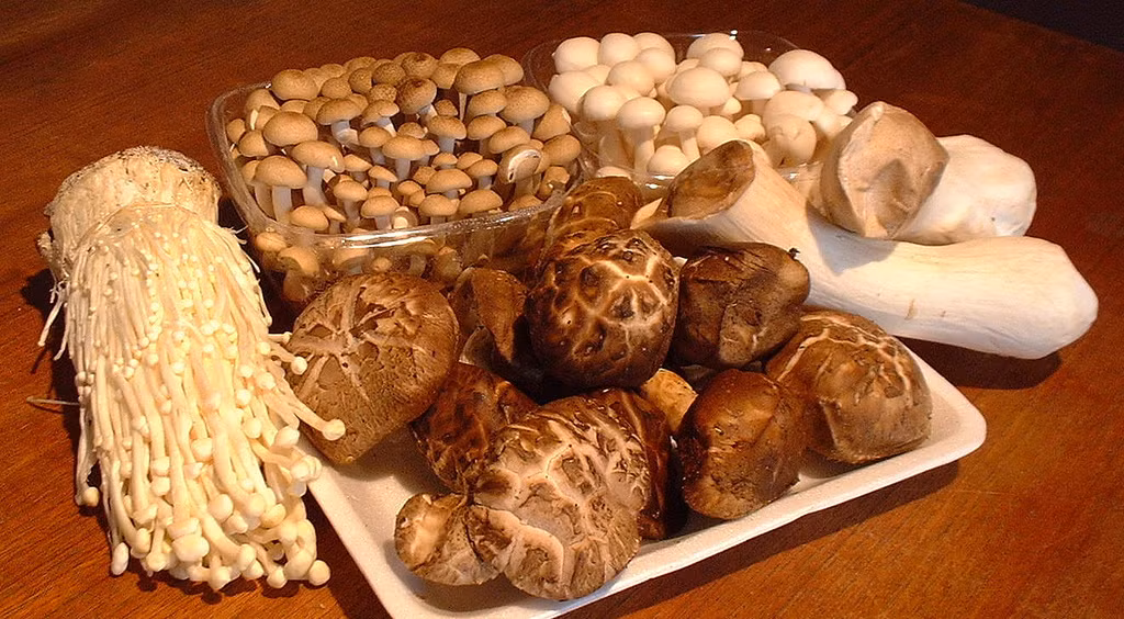 Ngày Tết, lựa chọn thực phẩm thông minh để tốt cho sức khỏe, không “phát tướng” ảnh 4