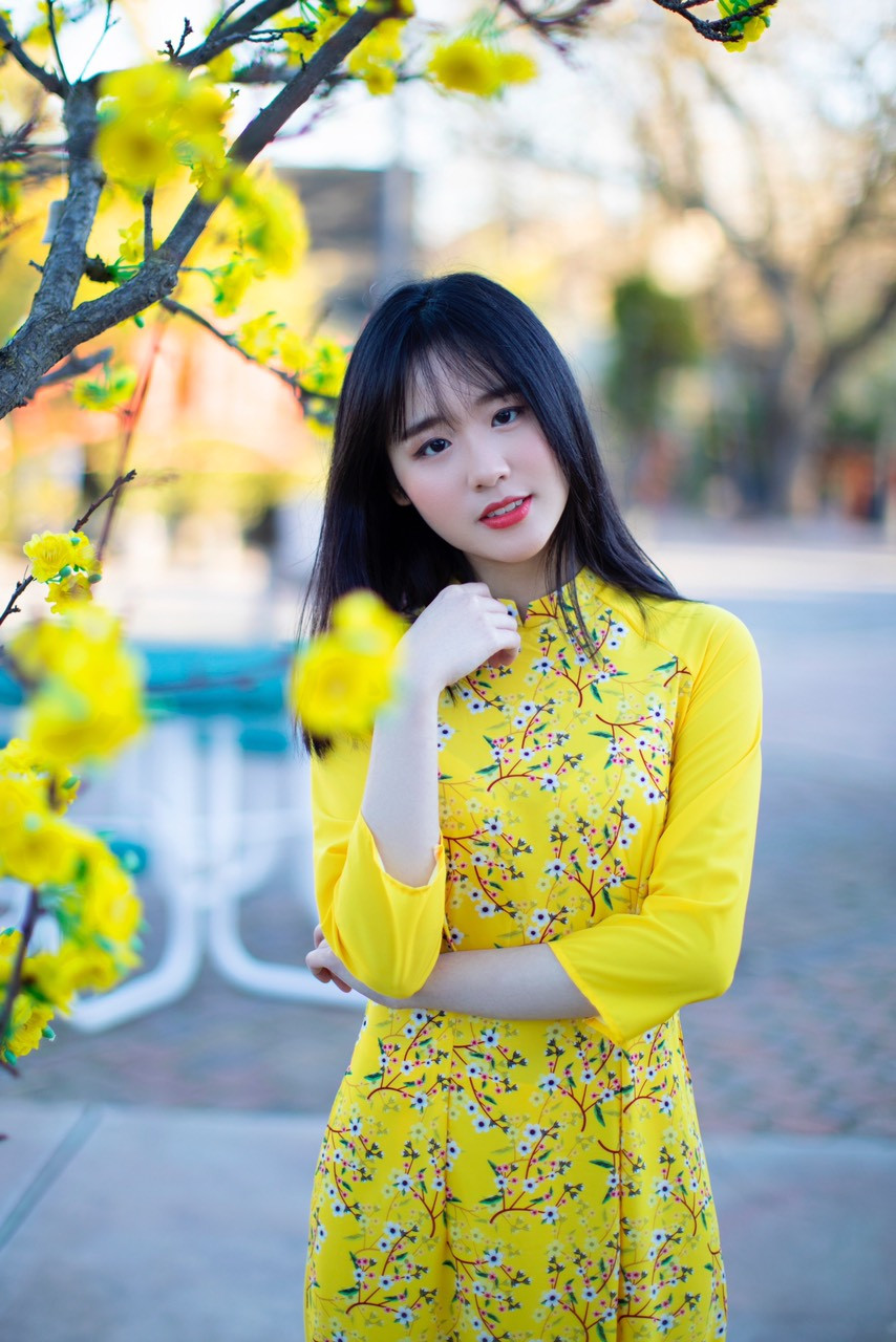 Rực rỡ sắc vàng với bộ ảnh áo dài Việt Nam đón Tết của du học sinh tại Mỹ ảnh 5