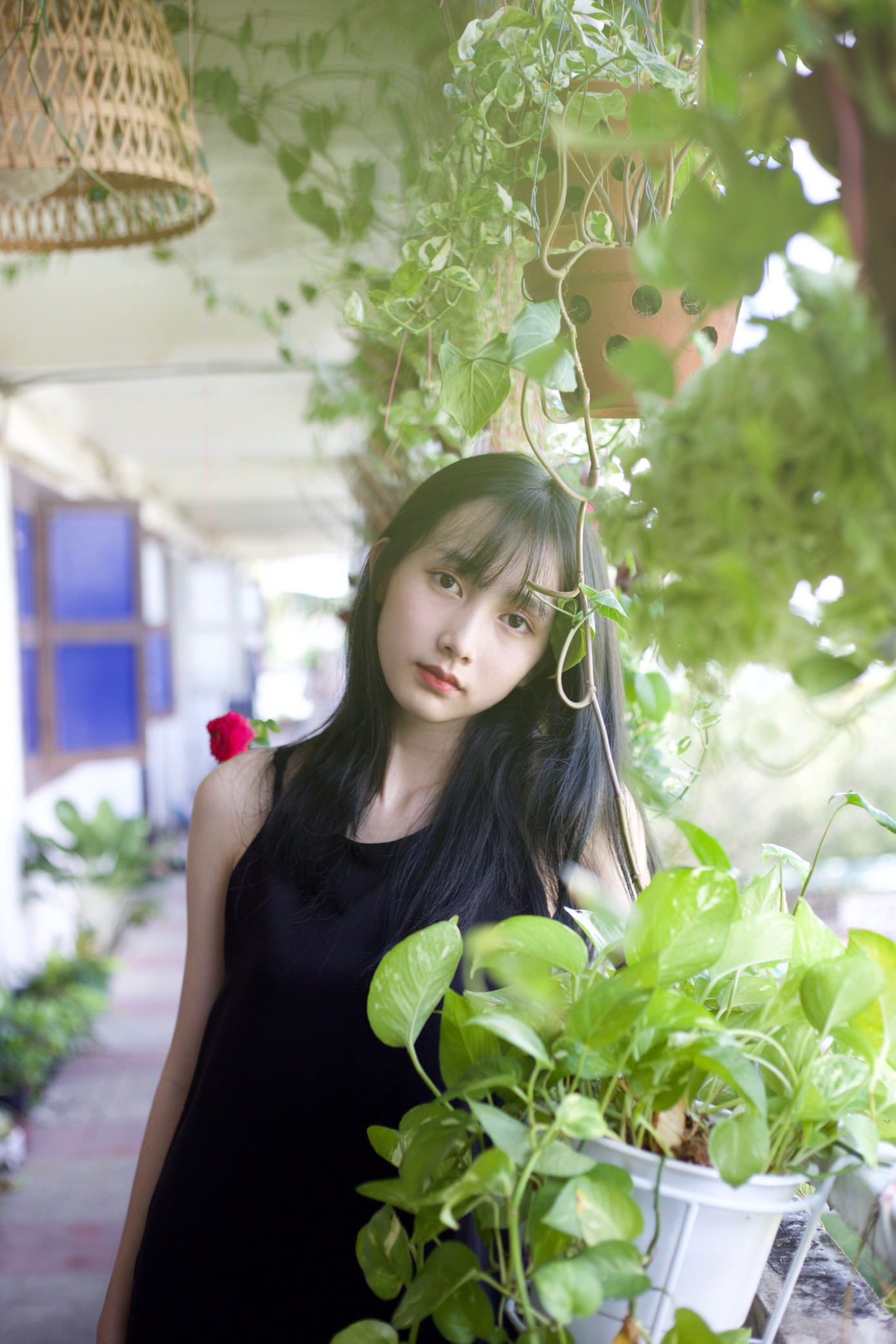 Nữ sinh Ngoại thương đam mê mẫu ảnh, có thành tích học tập “khủng“ ảnh 11