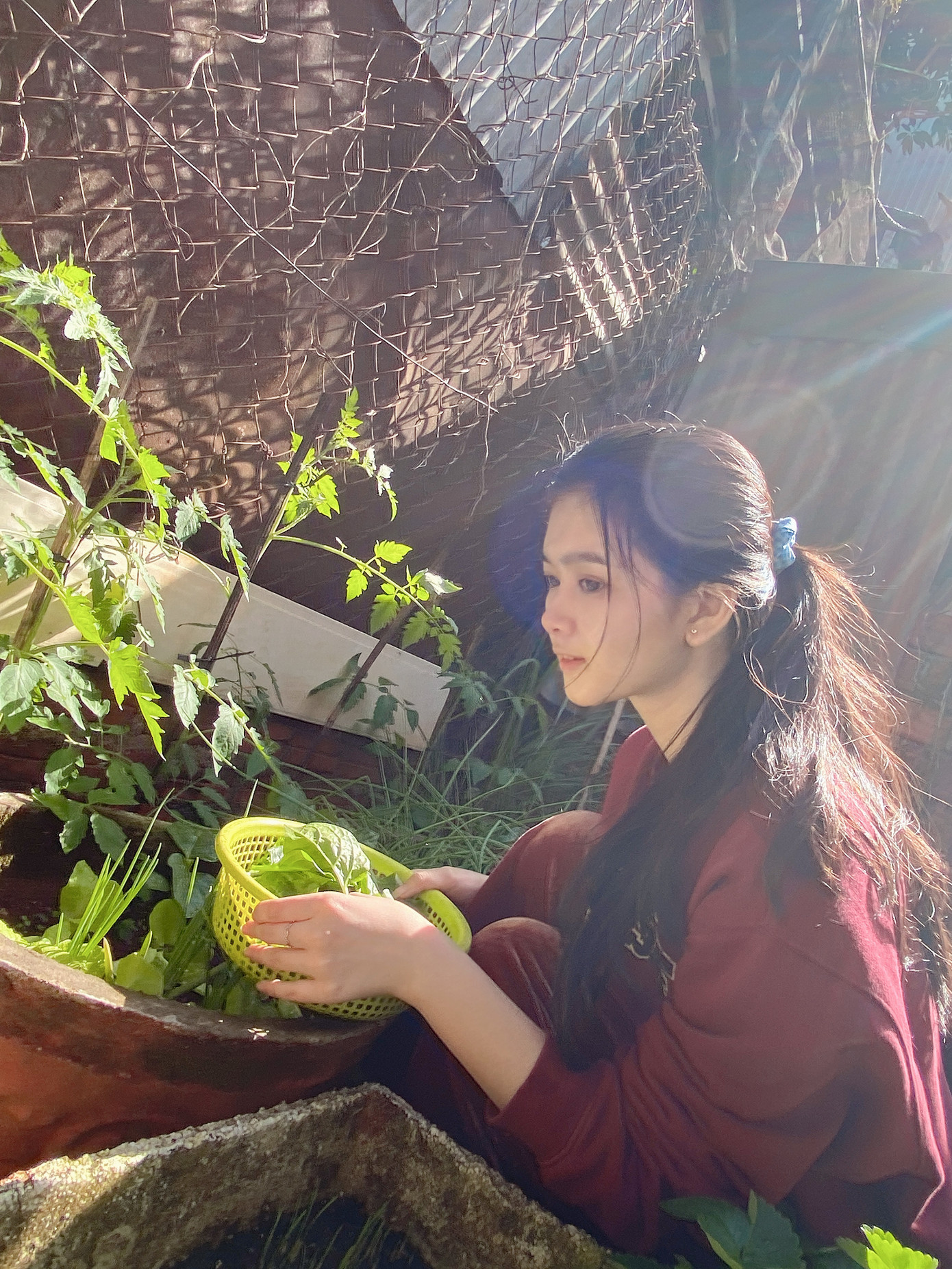 Đón “Tết COVID-19” thứ hai với giới trẻ các vùng ảnh 4