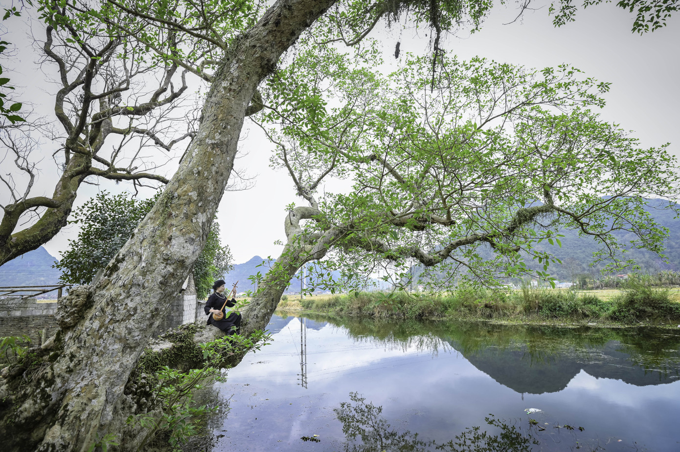 Đón Tết Tân Sửu cùng cô gái Nùng Phàn Slình vùng núi Đông Bắc là cựu sinh viên đại học Ngoại thương ảnh 12