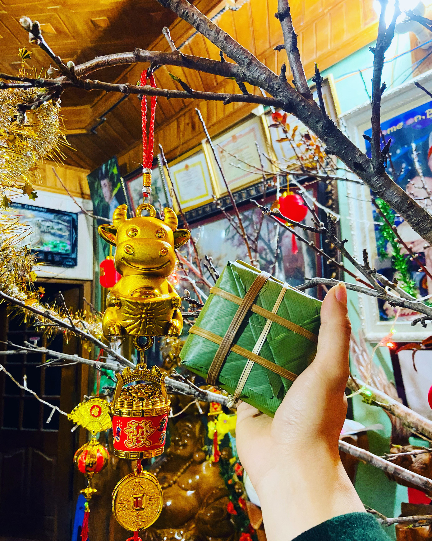 Đón “Tết COVID-19” thứ hai với giới trẻ các vùng ảnh 9