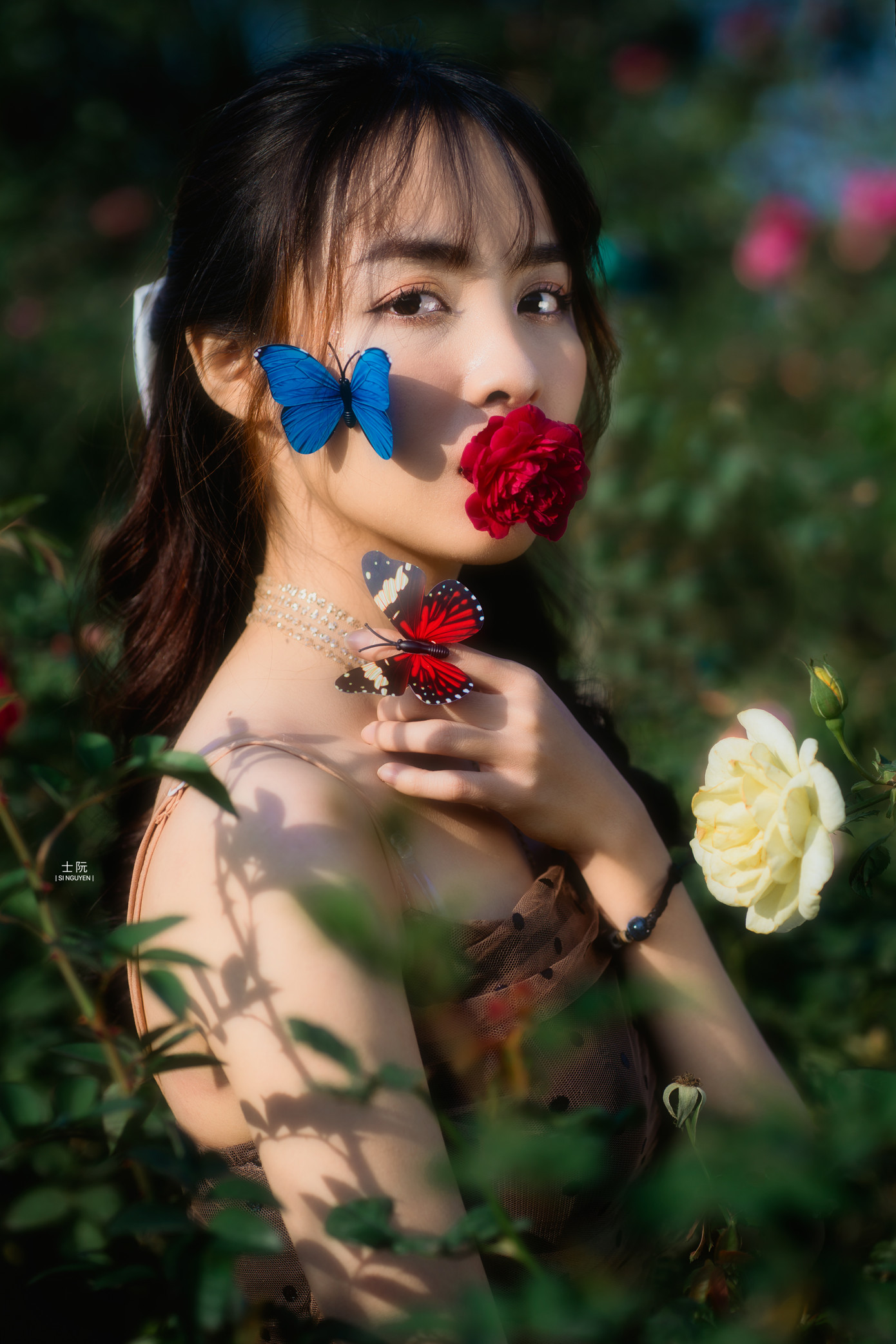 Nữ sinh Bách khoa hóa công chúa mơ màng giữa rừng hoa ảnh 3