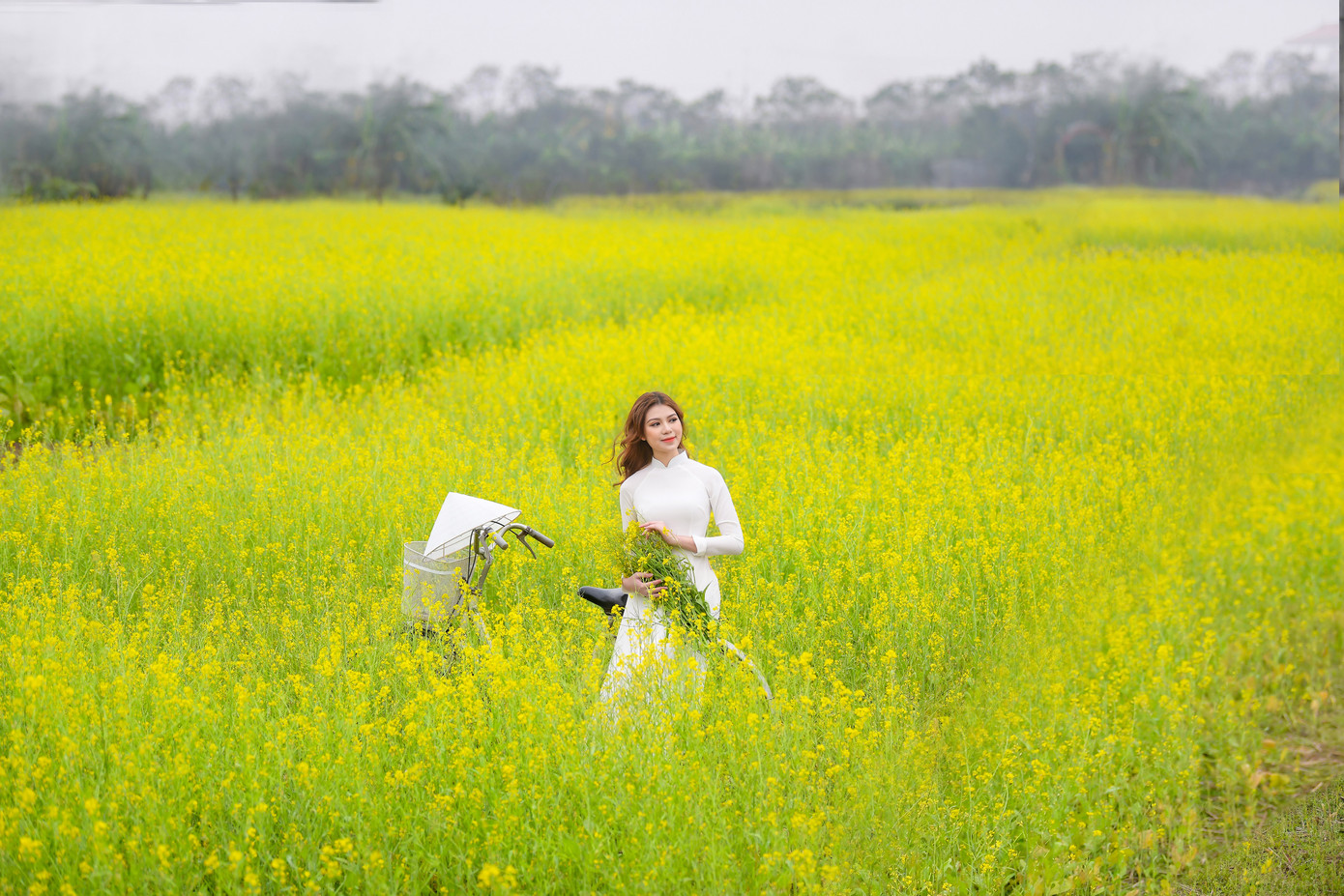 Nữ sinh Kinh Công đẹp dịu dàng giữa cánh đồng hoa cải vàng rực rỡ ảnh 7