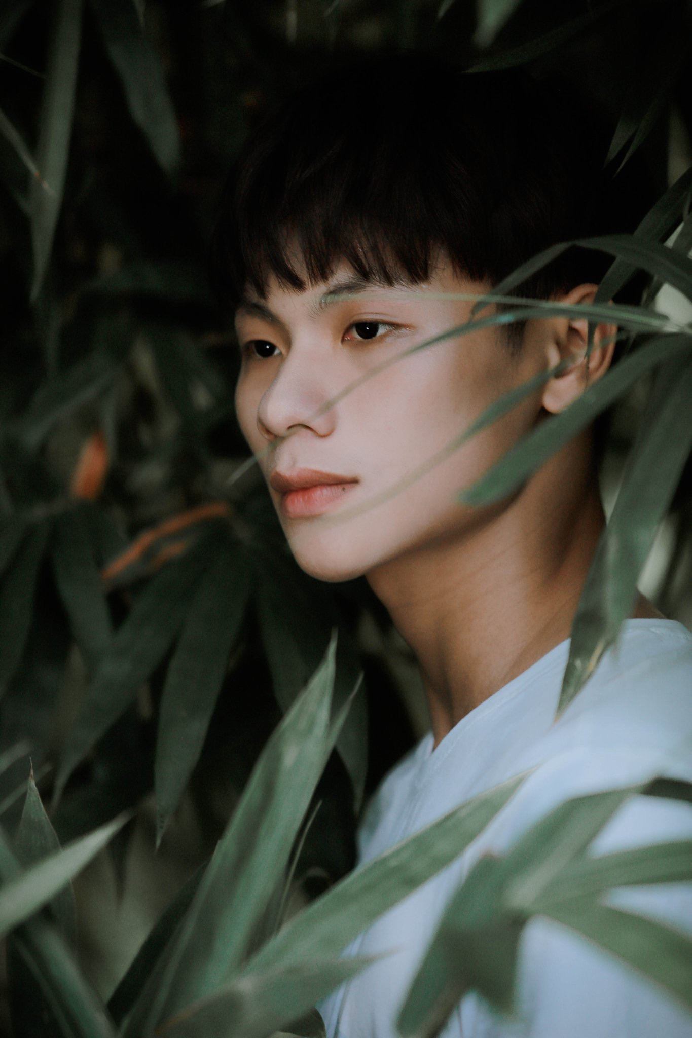 Chàng trai trẻ 19 tuổi và hành trình chinh phục ước mơ nghệ thuật ảnh 2