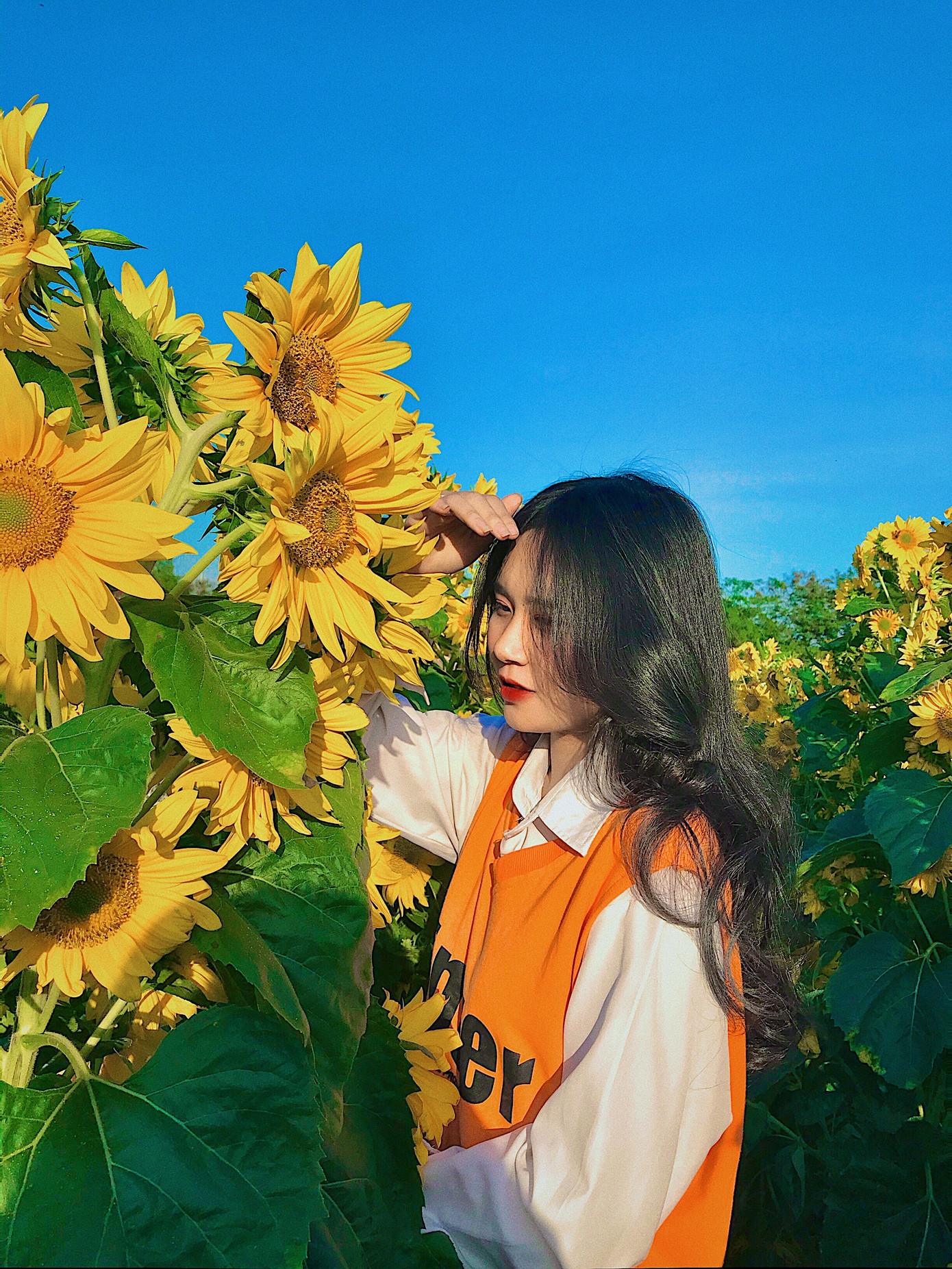 Người đẹp được yêu thích nhất Hutech: Bùn dưới chân nhưng nắng ở trên đầu ảnh 3