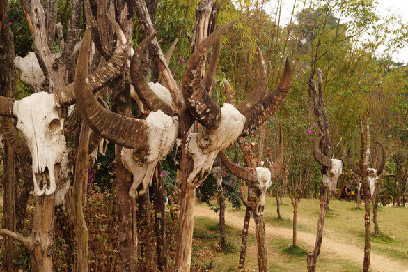 Làng du lịch nổi tiếng với nhà rơm- “bộ lạc nguyên thủy” cuối cùng bị lửa biến thành tro ảnh 3